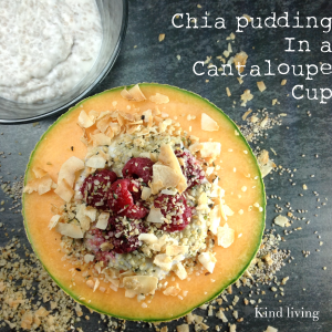 Chia pudding in a cantaloupe cup with toppings