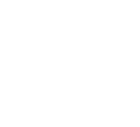 White Swirl Icon
