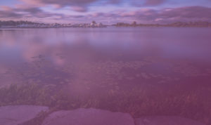 Lake Couchiching - Purple Overlay