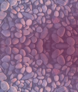 Pebbles with a purple overlay
